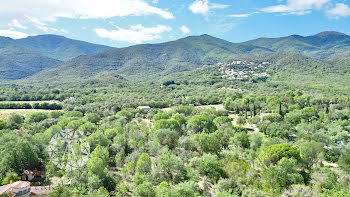 terrain à Laroque-des-Albères (66)