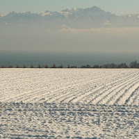 Montagne nella nebbia di 