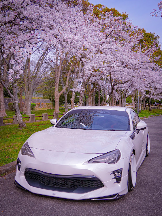 86のTOYOTA・86gt・Zn6・車が好きな人と繋がりたい・サクラと愛車に関するカスタム事例の投稿画像1枚目