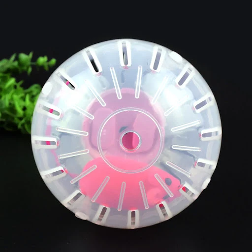 Hamster Training Toy Plastic Outdoor Sport Ball Grounder Rat Small Pet Rodent Mice Jogging Ball Gerbil Rat Exercise Ball