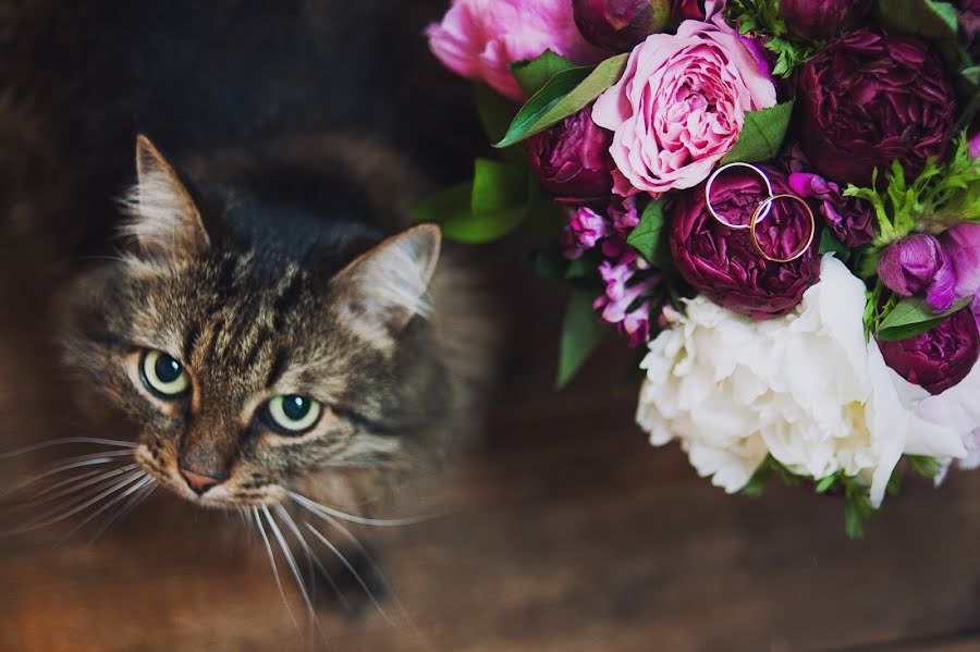 Fotografer pernikahan Mariya Zacarinnaya (marymirt). Foto tanggal 14 Juni 2017