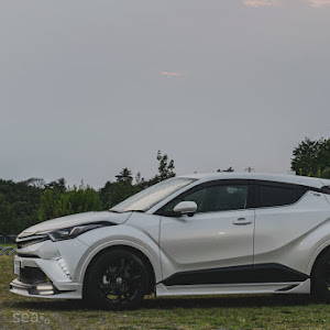 C-HR NGX50