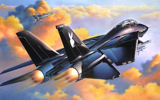 F 14A Black Tomcat screenshot 2