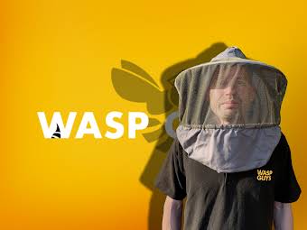 Wasp Guys album cover