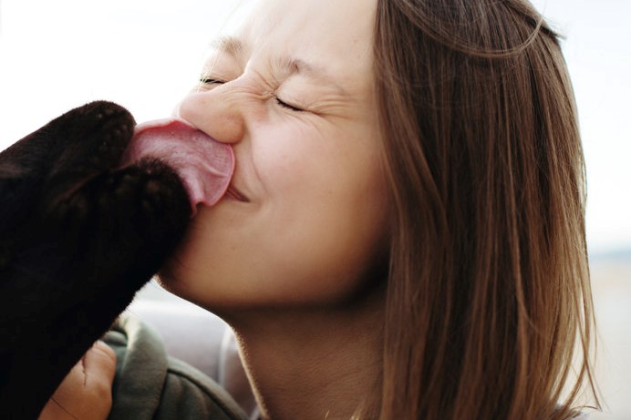 There's no evidence it is dangerous to let a dog lick your face, says the advertising watchdog.