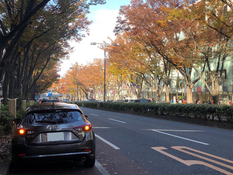 アクセラスポーツの紅葉🍁・早朝ドライブ・ドライブ・紅葉と愛車に関するカスタム事例の投稿画像2枚目