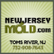 Item logo image for Toms River Mold Remediation