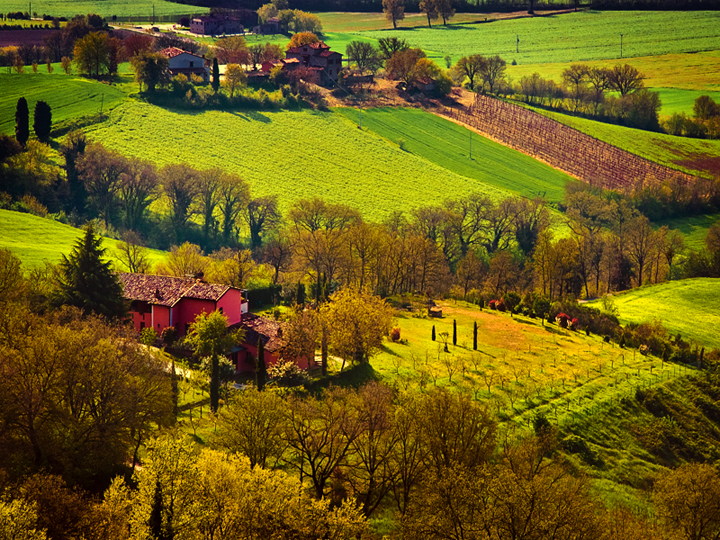 Landscape di batfabio