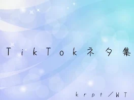 TikTokネタ集