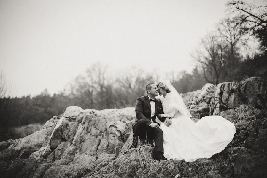 Fotógrafo de bodas Aleksandr Litvinchuk (lytvynchuksasha). Foto del 3 de enero 2016