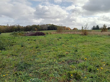 terrain à Montmirail (51)