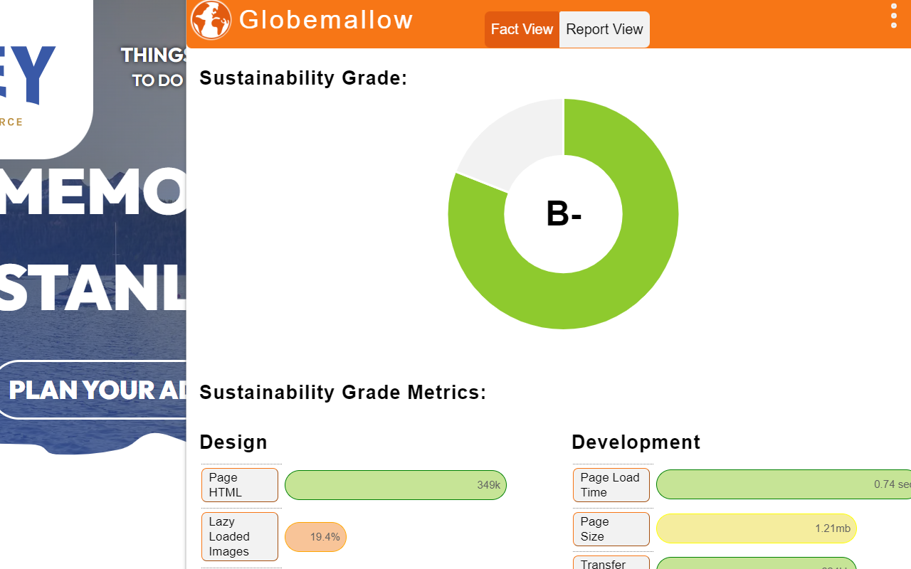 Globemallow Preview image 3