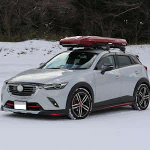 CX-3 DK5FW