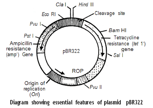 Solution Image