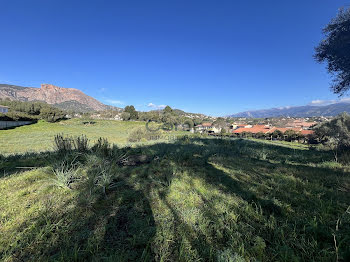 terrain à batir à Afa (2A)