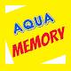 Aqua Memory 3D Download on Windows