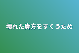 壊れた貴方を救う為