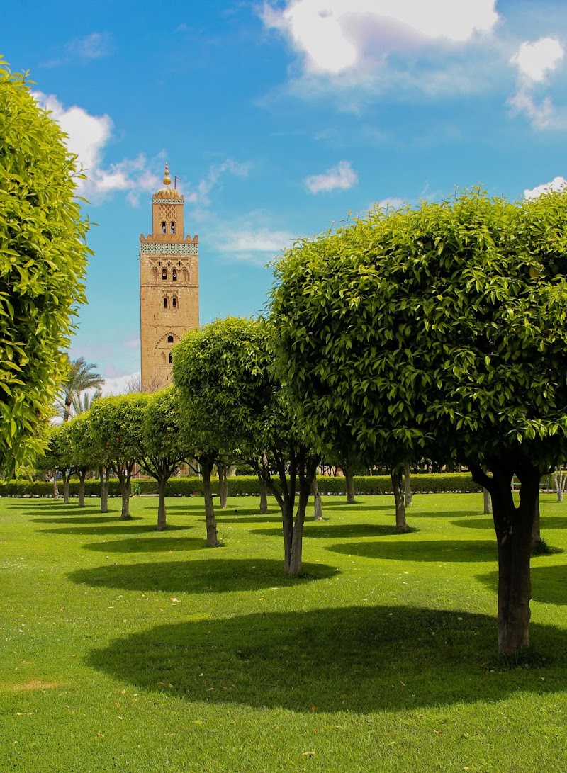 Ombre a Marrakech di vlao