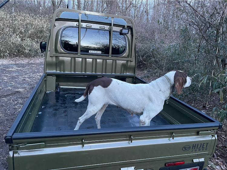 ハイゼットジャンボの愛犬と散歩・ハイゼットジャンボ・ハイエースバン・ハイエース4WD・ハイゼットトラックに関するカスタム事例の投稿画像1枚目