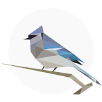 Cover Image of Télécharger BirdNET: Bird sound identification 1.41 APK