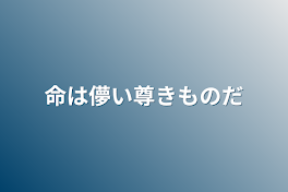 命は儚い尊きものだ