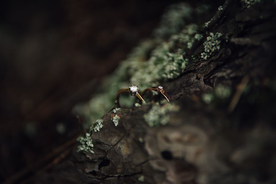 Vestuvių fotografas Aleksandr Koldov (alex-coldoff). Nuotrauka 2016 liepos 25