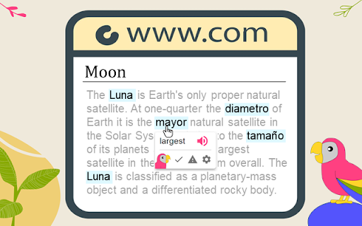 Loro - Learn vocabulary