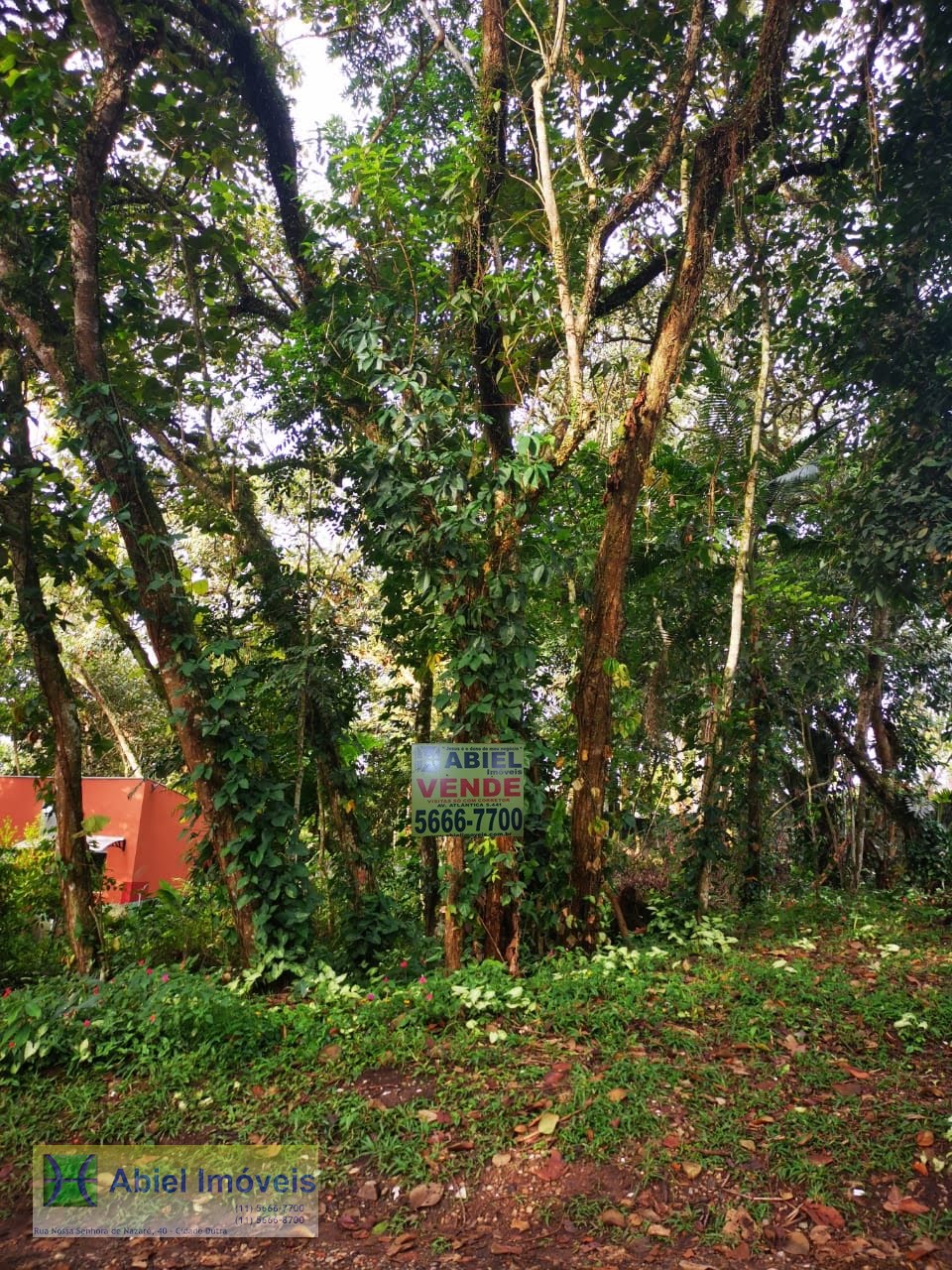 Terreno/Lote  venda  no Jardim das Palmeiras (zona Sul) - So Paulo, SP. Imveis