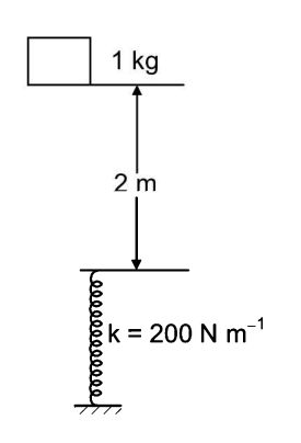 Spring-mass system