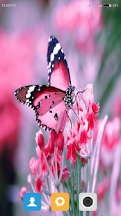 HD Butterfly Wallpaper(圖3)-速報App