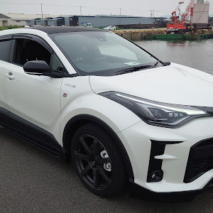 C-HR ZYX11