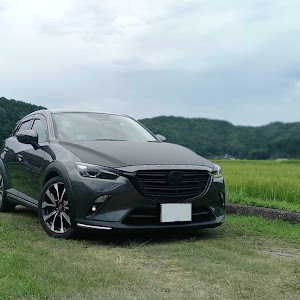 CX-3 DKEFW