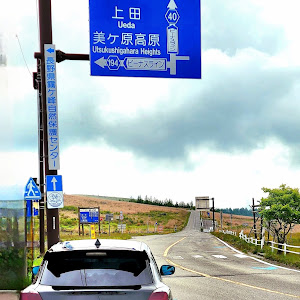 スイフトスポーツ ZC33S