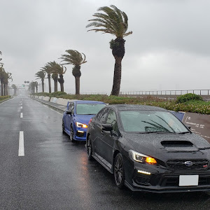 WRX STI