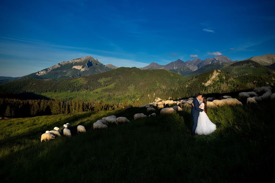 Fotógrafo de casamento Filip Skrabacz (photofil). Foto de 24 de junho 2022