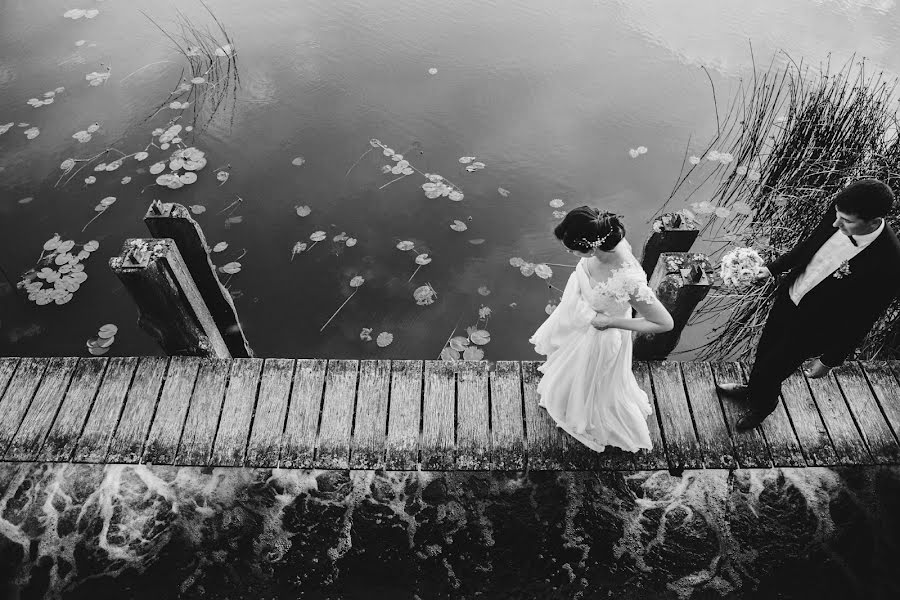 Fotógrafo de casamento Gerda Masiuliene (mazistebuklai). Foto de 20 de outubro 2016