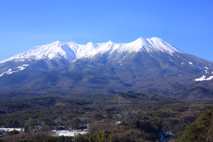 の投稿画像5枚目