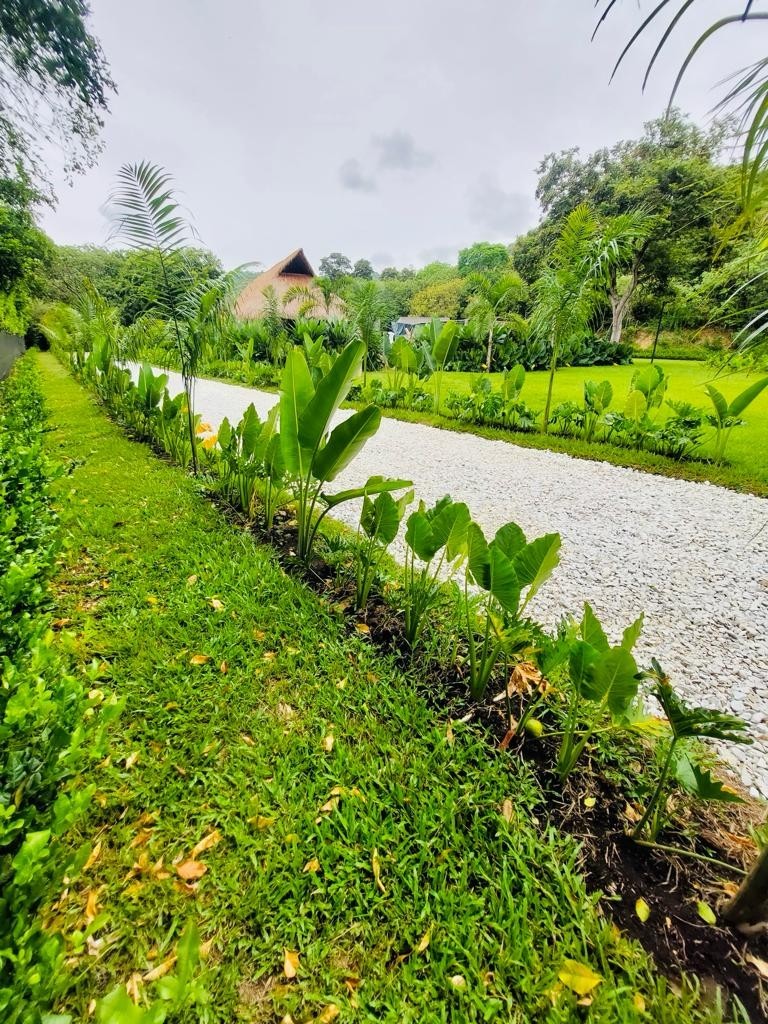 Fincas para Venta en Santa fe de antioquia