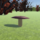 Mushrooms Finder