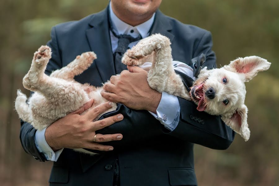 Fotógrafo de casamento Pablo Bravo (pablobravo). Foto de 7 de fevereiro 2023