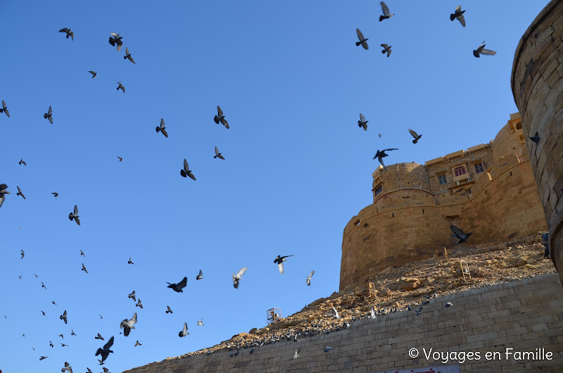 Jaisalmer, oiseaux