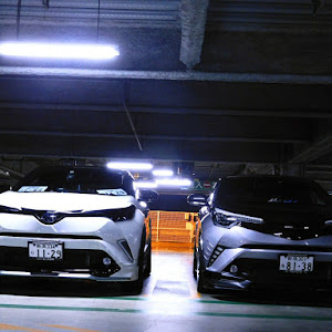 C-HR ZYX10