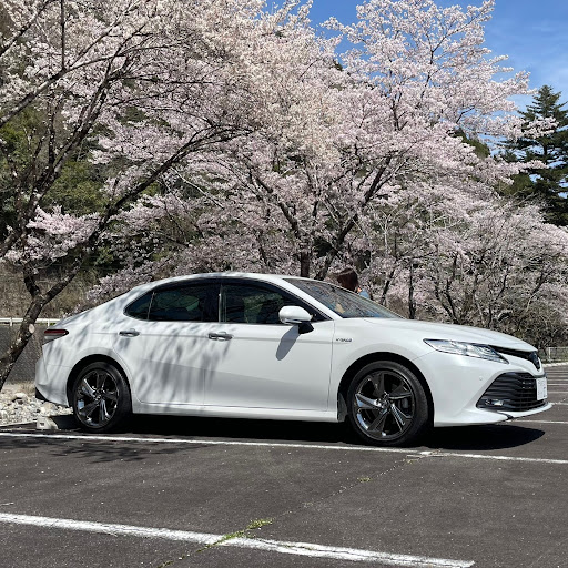 真田のｶﾑﾘのプロフィール画像