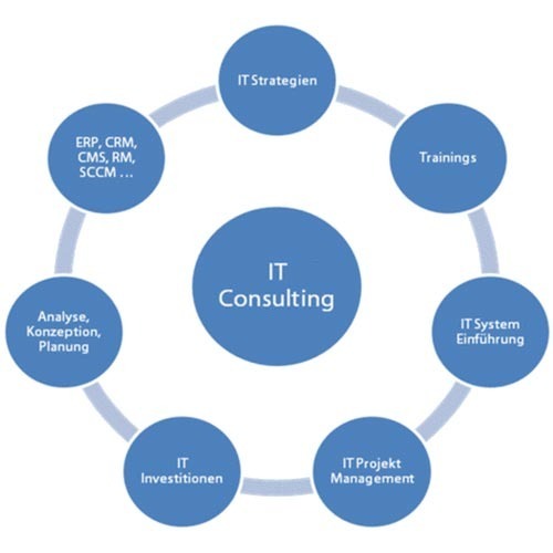 IT Consulting service & solution