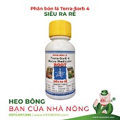 Phân Bón Lá Kích Rễ Terra Sorb 4 (Chai 100Ml)