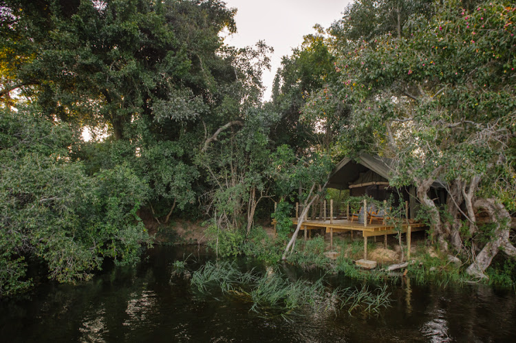 A view of one of the luxury tents from the river.