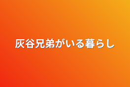 灰谷兄弟がいる暮らし