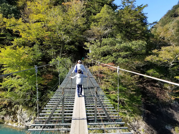 の投稿画像31枚目