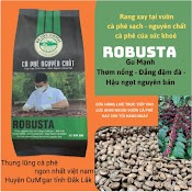 (Cà Phê Hữu Cơ Bán Tại Vườn) 1Kg Cà Phê Robusta Hữu Cơ Rang Mộc Tại Vườn - Đậm Đà Chuẩn Vị Pha Phin Pha Máy