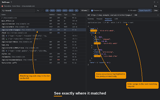 NetScope – Search Network Responses & WebSockets screenshot 2
